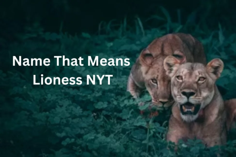 name that means lioness nyt